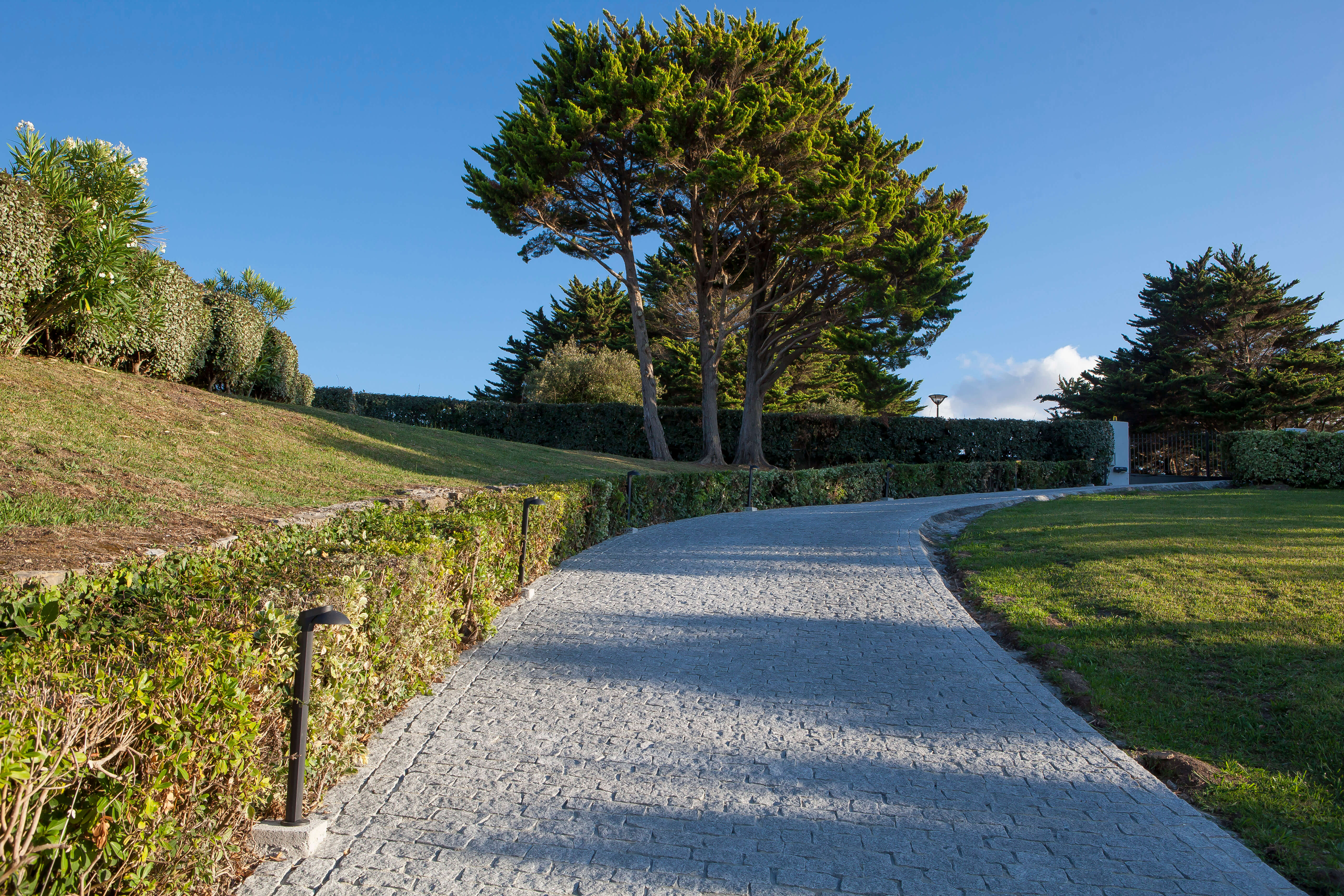 Allée de jardin