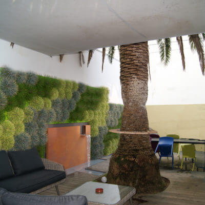Architecte paysagiste Biarritz mur végétal