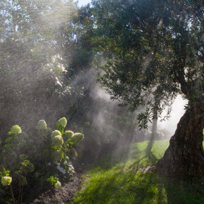 Création entretien jardin paysagiste Biarritz