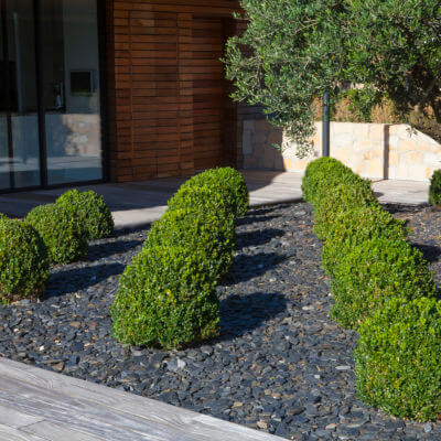 Création plantation jardin Biarritz Anglet