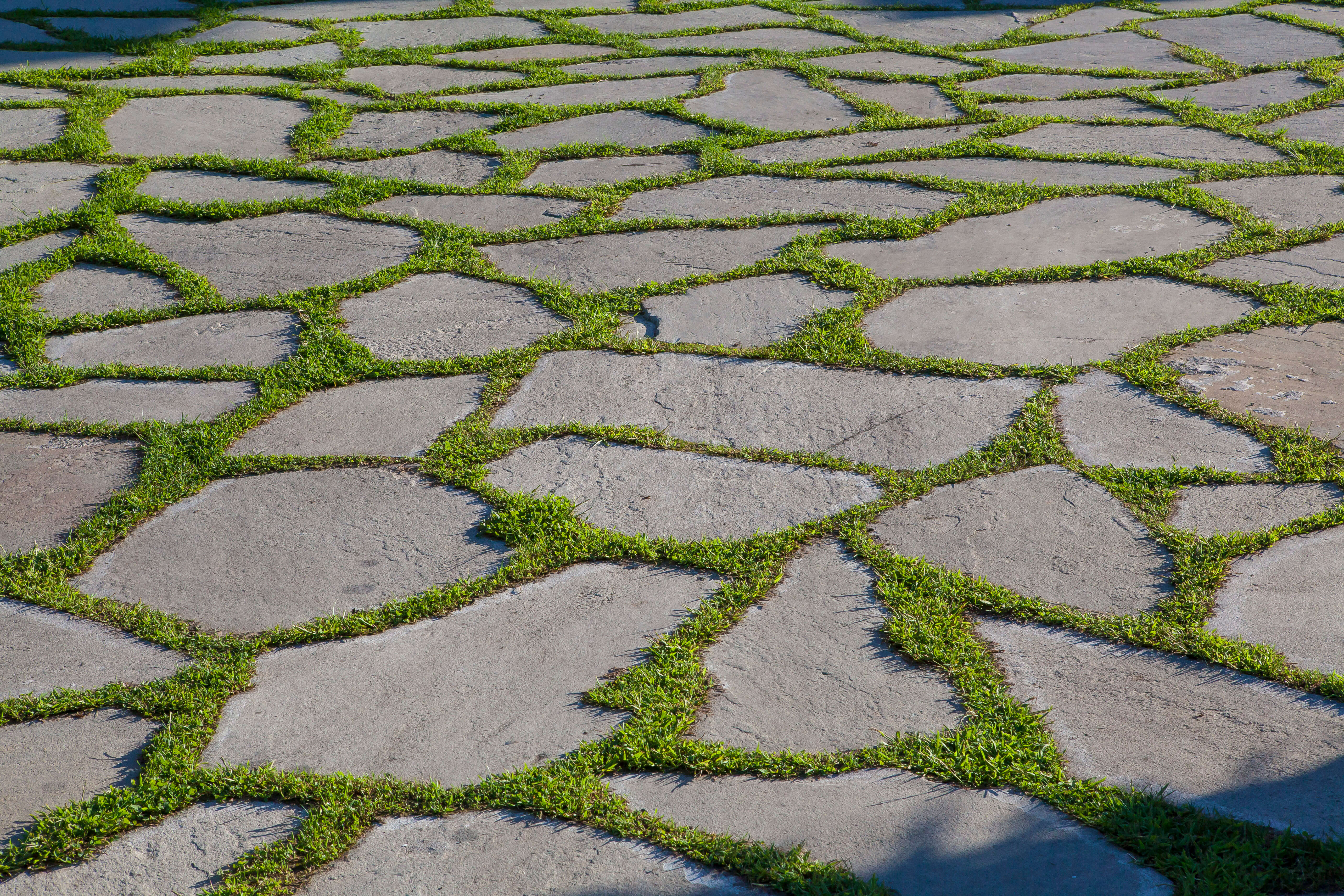 Dallage jardin design création Pays Basque