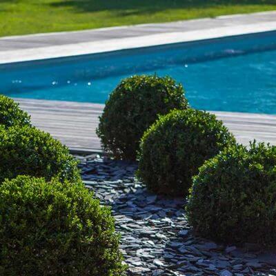 Paysagiste Pays Basque jardin