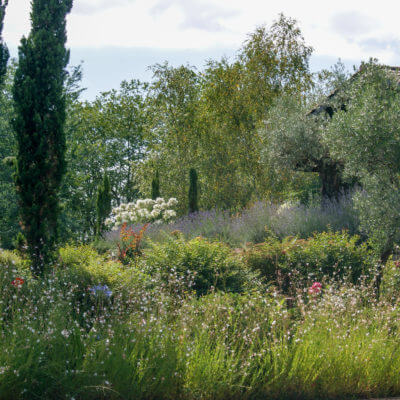 Jardin Pays Basque