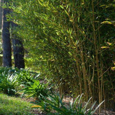 Entretien jardin Arcangues Biarritz