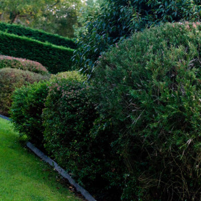 Entretien jardin Biarritz Paysagiste