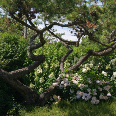 Jardinier Anglet Pays Basque