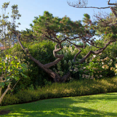 Paysagiste jardin Anglet