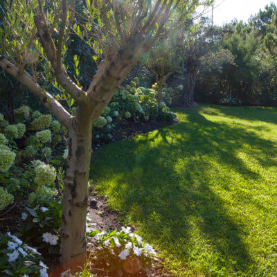 jardinier paysagiste Anglet