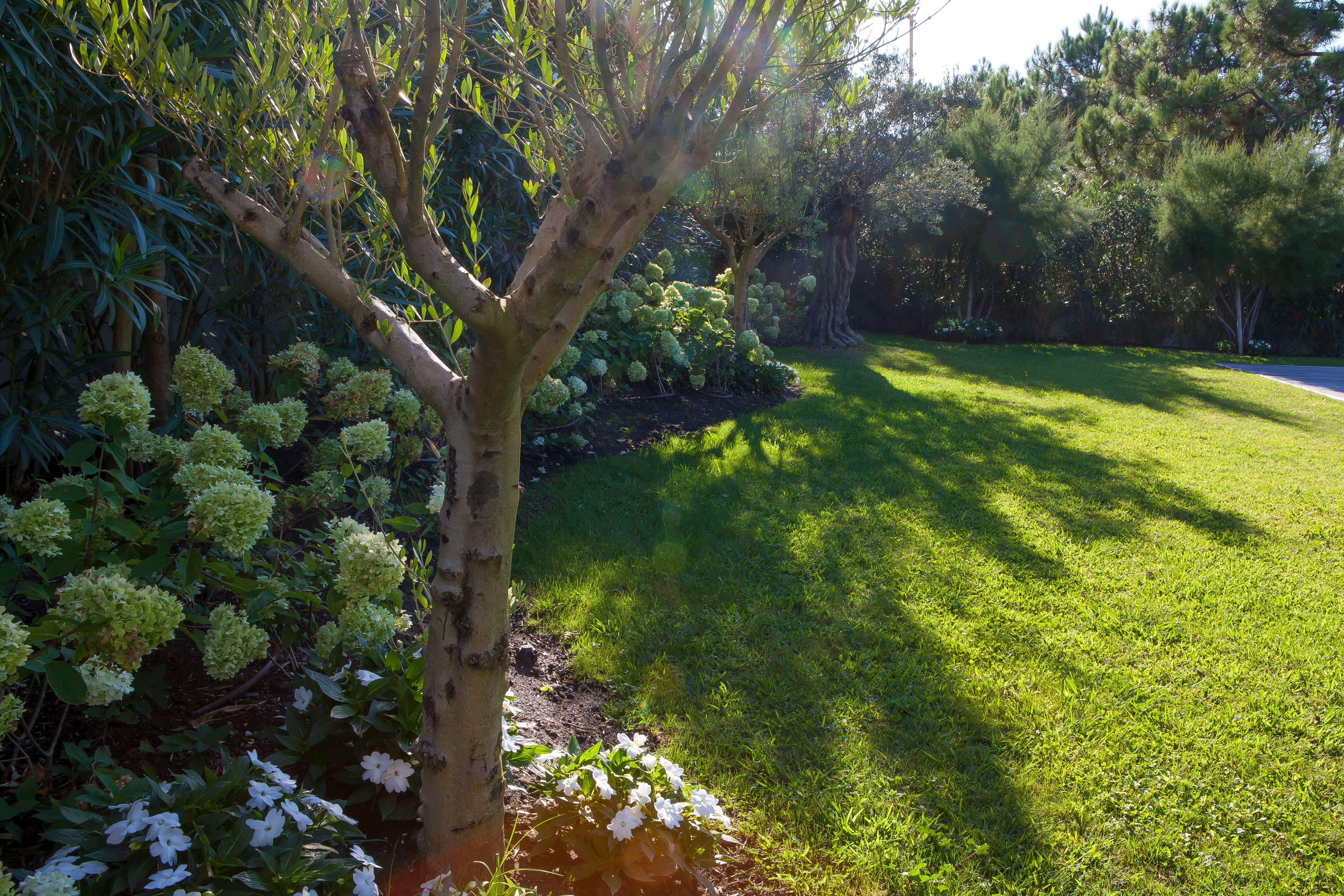 jardinier paysagiste Anglet