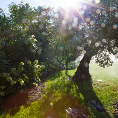 Paysagiste Pays Basque entretien