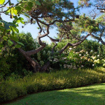 Plantation création jardin Bayonne