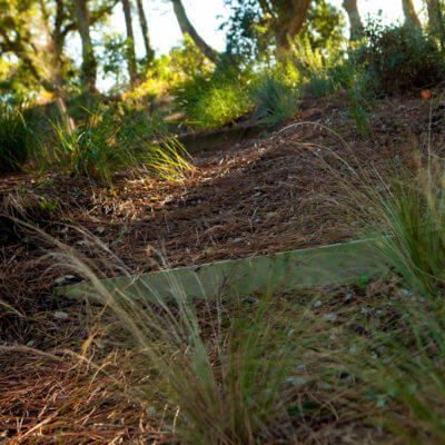 Plantation création jardin paysagiste