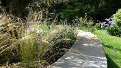 jardin canicule plante