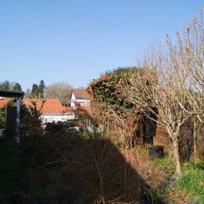 Rénovation jardin paysagiste à Cambo