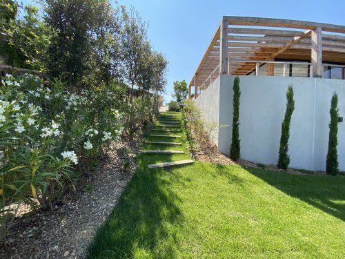 un jardin bien entretenu 