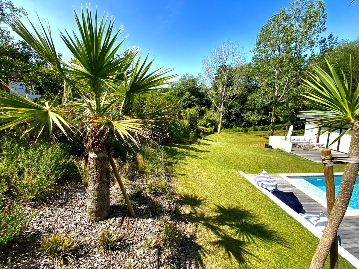 jardin avec piscine et palmier