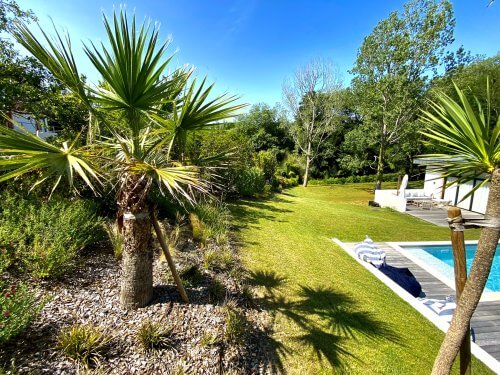 jardin avec piscine et palmier