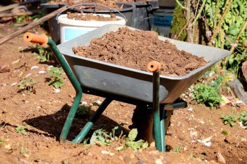 brouette pour extraction de la terre