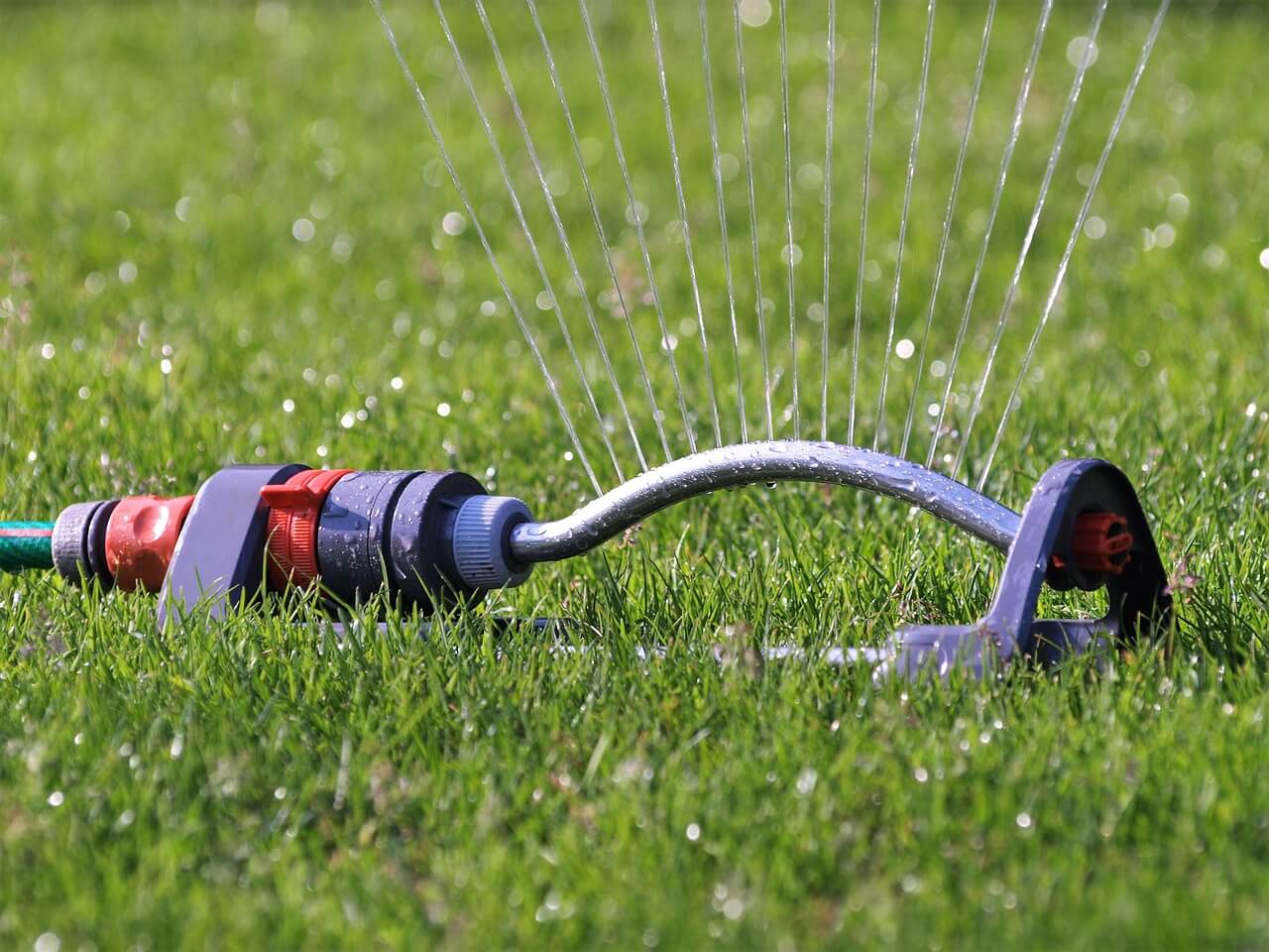 jardin canicule